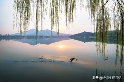 ​仰天大笑出门去，我辈岂是蓬蒿人