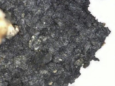 ​三星堆文明已开始使用丝绸