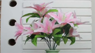 ​百合花香味有没有毒?可不可以在室内摆放?