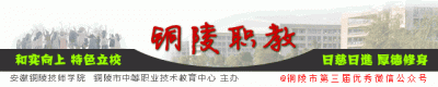 ​适合职业教育的七种教学方法