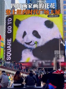 ​火到了国外！花花登上纽约时代广场大屏 盼丫丫早日回家！