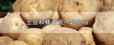 ​土豆和蜂蜜能一起吃吗? 土豆和蜂蜜能一起吃吗早餐