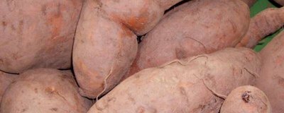 ​空腹可不可以吃红薯 空腹可以吃红薯吗?