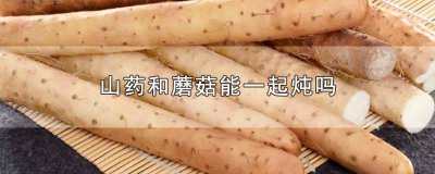 ​蘑菇和山药可以一起煮吗 山药和蘑菇可以一起煮吗宝宝