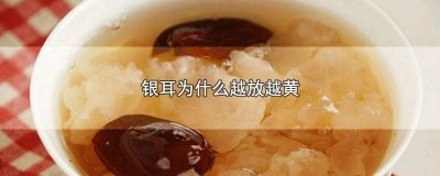 ​银耳放久了变黄了还能吃吗 银耳越放越黄怎么回事