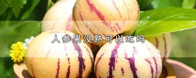 ​人参果没熟透是否可以吃 没熟的人参果能不能吃