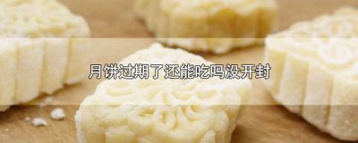​月饼过期了三个月还能吃吗没开封能吃吗 月饼过期了三个月还能吃吗没开封还能吃
