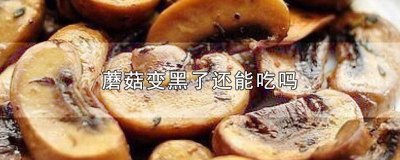 ​蘑菇变黑了还能吃吗视频 蘑菇变黑了能吃吗?