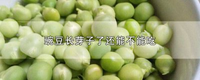 ​豌豆发芽了可以吃吗? 豌豆豆子发芽了能吃吗有毒吗