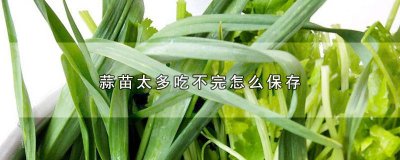 ​蒜苗多了吃不完怎么保存? 吃不完的大蒜苗怎么保存