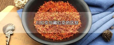​川红花和藏红花是一样的功效吗 川红花和藏红花有什么区别