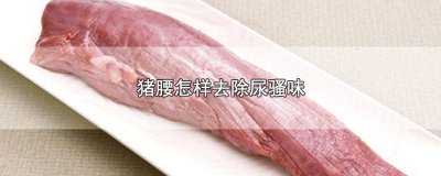 ​如何洗猪腰的骚味 猪腰花怎么处理尿味