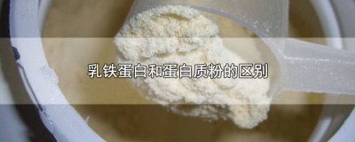 ​乳铁蛋白粉是什么 乳铁蛋白与蛋白粉