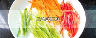 ​三丝是哪三样炒粉 蒸鱼的三丝是哪三样