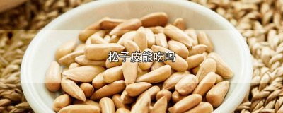 ​松子的薄皮能吃吗有毒吗 松子里面的薄皮能吃吗