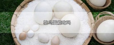 ​鸵鸟蛋能吃吗
