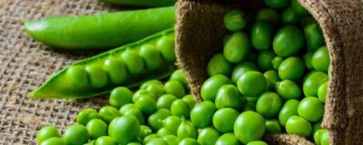 ​豌豆芽二次发芽还可以吃吗有毒吗 豌豆芽二次发芽还可以吃吗视频