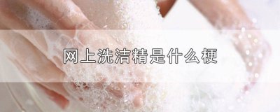 ​洗洁精产品说明书怎么写 洗洁精使用说明书