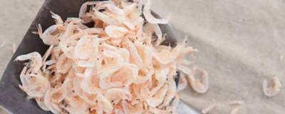 ​虾皮在冰箱能放多久 虾皮在冰箱冷冻可以放多久吃