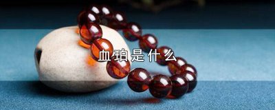​血珀金珀哪个好 血珀是什么牌子的手镯图片
