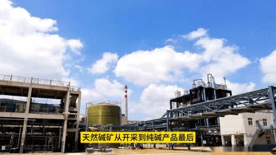 ​纯碱期货大跌原因分析 纯碱2401期货最新行情