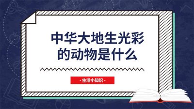 ​大地春光是什么动物生肖 大地春光的动物