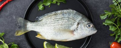 ​百花鱼是海鱼吗还是河鱼 海花鱼是海鱼吗