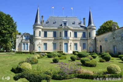 ​参观法国白马酒庄，法国小白马葡萄酒