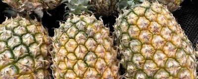 ​菠萝绿色的时候可以吃吗