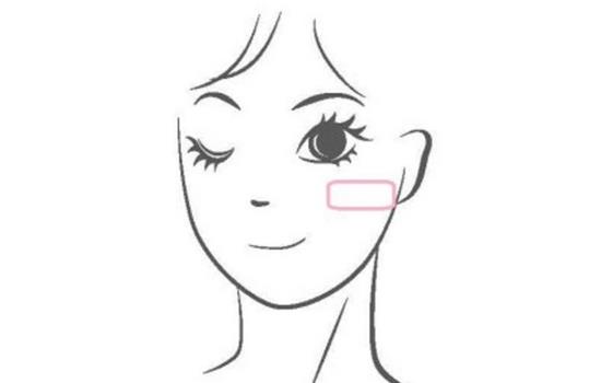 倩碧菊花腮红色号有哪些？新手也能轻松掌握