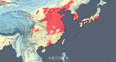​雅诗兰黛小棕瓶精华+小棕瓶双层面膜深度评测