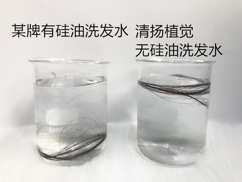 清扬0硅油洗发水好用吗？自带高级感香调