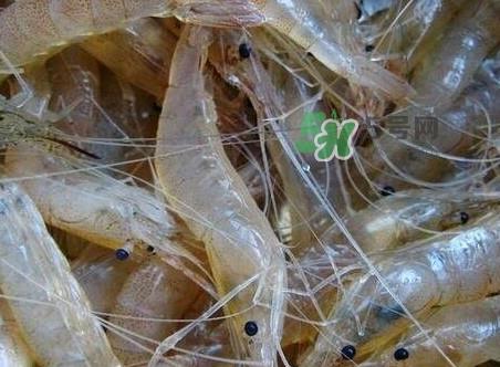 太湖白虾什么时候上市？太湖白虾上市时间