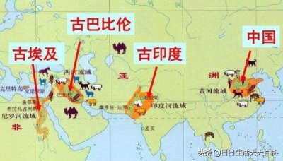 ​四大文明发源地指的是哪里（世界四大文明发源地的地理位置）