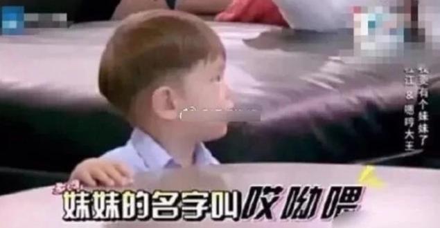 杜江霍思燕二胎女儿首曝光！一家四口同框现身，3岁女儿身高惊人