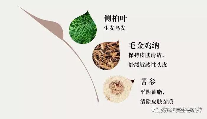 趣读丨有的英国男人表面上看起来风光无限，背地里已经秃了