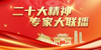 ​二十大精神 专家大联播丨激发全民族文化创新创造活力