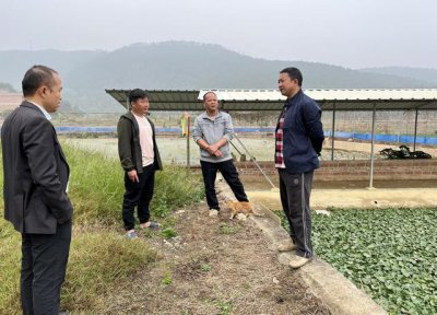 ​驻云浮罗定市罗平镇帮扶工作队：“实实在在”融入带来“实实在在”改变