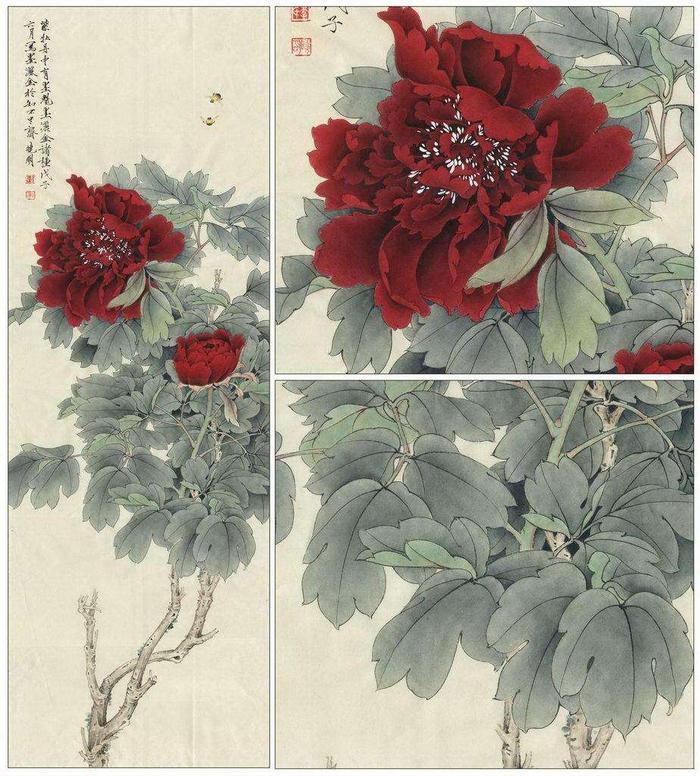 中国工笔牡丹画法设色步骤图解,李晓明工笔牡丹技法解析!