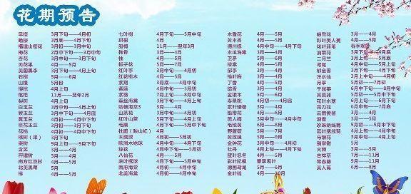 苏州这10片“樱花海”，再不去就来不及了！