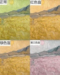 ​色盲眼中的世界到底是什麽样的？