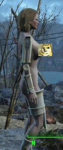 ​steam上的辐射4怎么全屏（辐射4 steam版调中文)