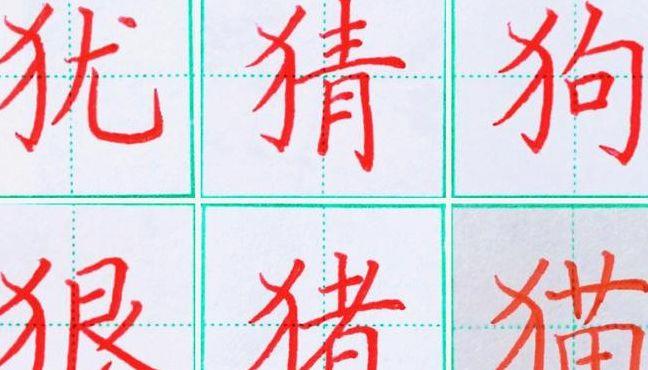 反犬旁的字跟什么有关（反犬旁的字都与啥有关）