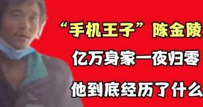 ​陈金凌手机王子变疯子（手机王子陈金陵江西哪里人）