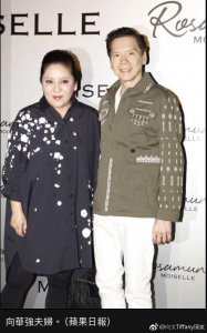 ​向华强老婆陈岚年轻时的照片 美若天仙形容也不过分