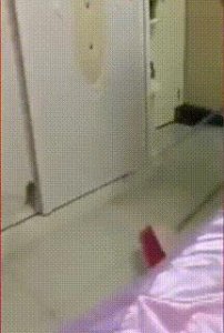​搞笑图片：这是在作死的边缘疯狂试探