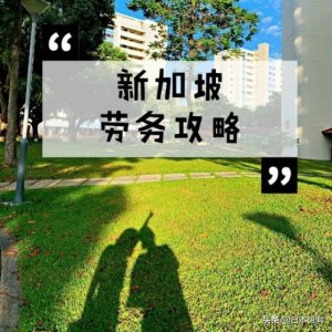 ​去新加坡劳务怎么样？