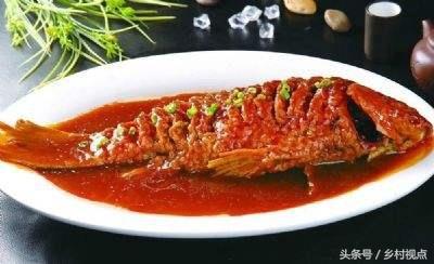 黄河鲤，中国的四大名鱼之一，自古就有“岂其食鱼，必河之鲤”