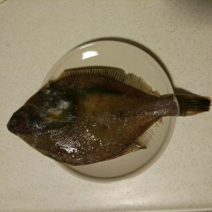 ​孕餐深海鱼:红烧 阿拉斯加黄金鲽鱼