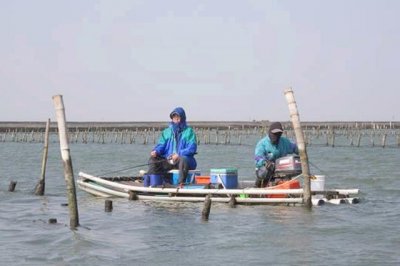 ​水库专钓大草鱼，分享两款适合的饵料，神助攻！